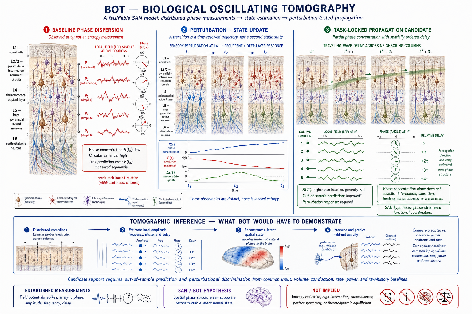 Medically and scientifically corrected Biological Oscillating Tomography