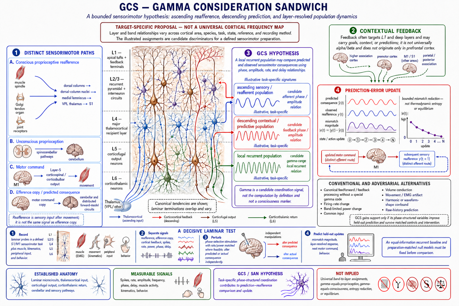 Medically and scientifically corrected Gamma Consideration Sandwich