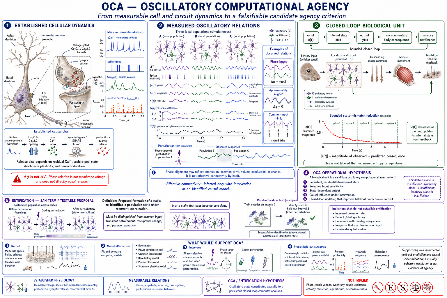 Medically and scientifically corrected Oscillatory Computational Agency